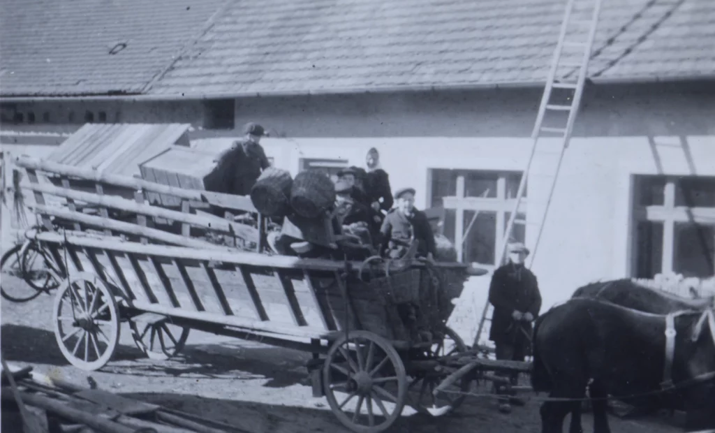 PŘEDNÁŠKA HISTORIKA TOMÁŠE ZOUZALA: NEBYL JEN ODSUN NĚMCŮ